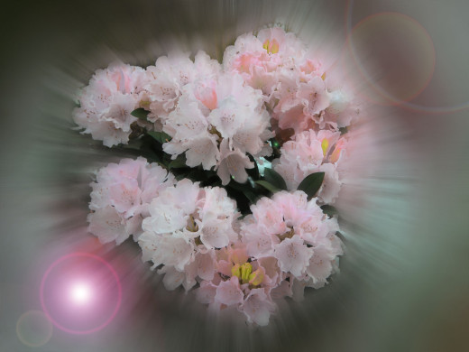648955 (a): :1600x1200